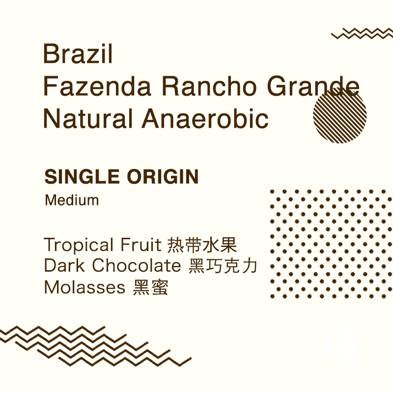 Single Origin: Brazil Fazenda Rancho Grande Natural Anaerobic - Soon Specialty Coffee