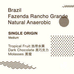 Single Origin: Brazil Fazenda Rancho Grande Natural Anaerobic - Soon Specialty Coffee